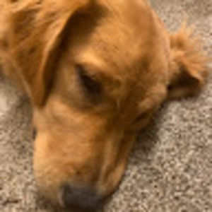 Meet your Posher, Mawg